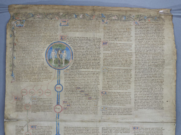 MS1170_1